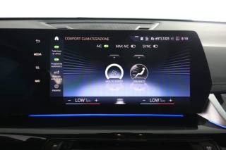 BMW X1 usata 10