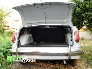 FIAT 1100 usata 35