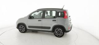 FIAT Panda usata 30