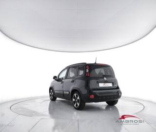 FIAT Panda usata 3