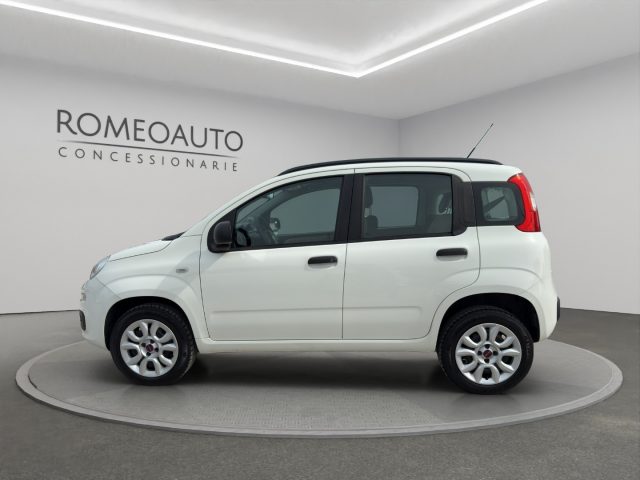 FIAT Panda usata 2