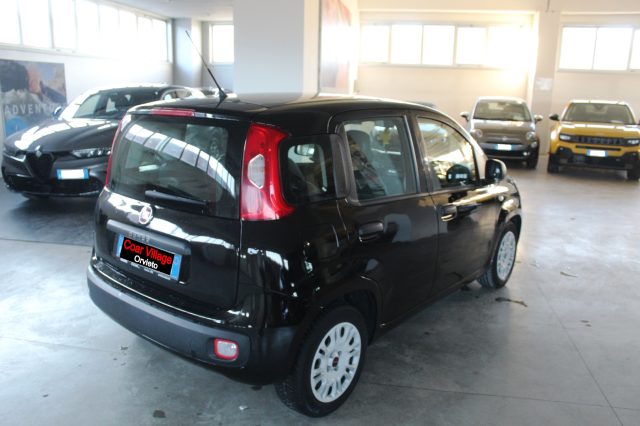 FIAT Panda usata, con Airbag Passeggero