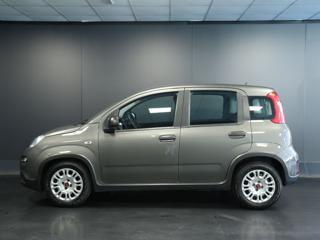 FIAT Panda usata, con Chiusura centralizzata