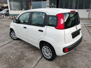 FIAT Panda usata, con Autoradio