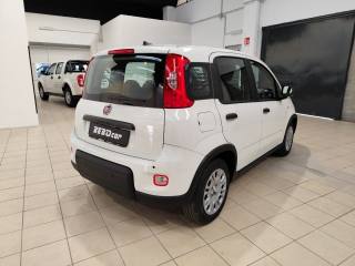 FIAT Panda usata, con Climatizzatore