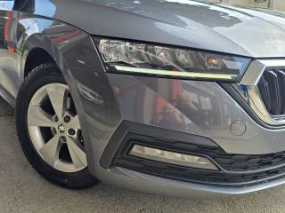 SKODA Octavia usata 125