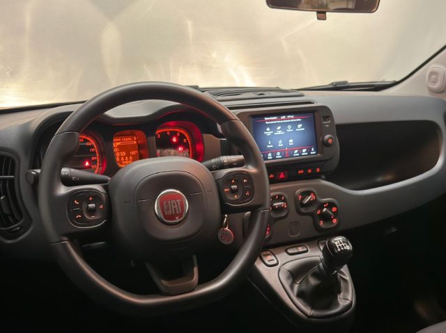 FIAT Panda Cross usata, con ESP