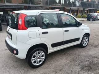 FIAT Panda usata, con Controllo trazione