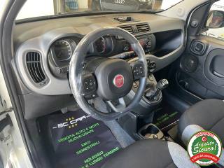 FIAT Panda usata, con Climatizzatore