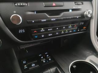 LEXUS RX 450h usata, con Servosterzo