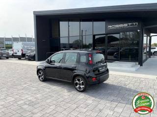 FIAT Panda usata, con Controllo trazione