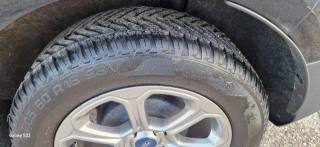 FORD EcoSport usata, con Cruise Control