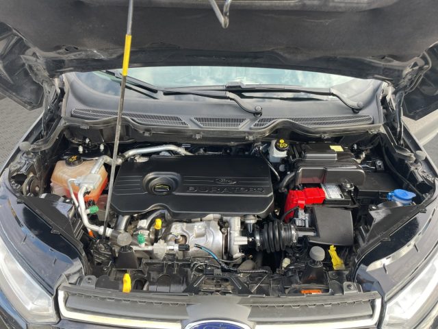 FORD EcoSport usata 23