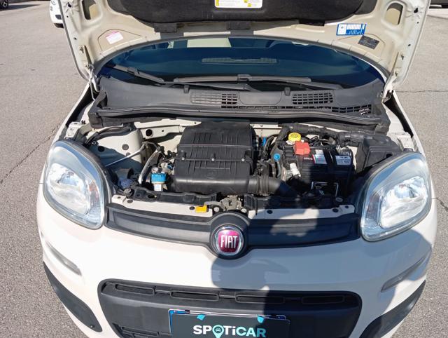 FIAT Panda usata 16