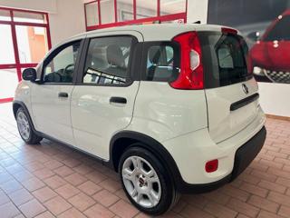 FIAT Panda usata, con Alzacristalli elettrici
