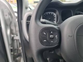 FIAT Panda usata, con Climatizzatore