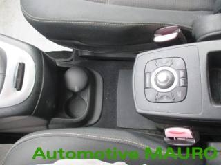 RENAULT Scenic usata 13
