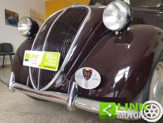 FIAT 500 usata 5