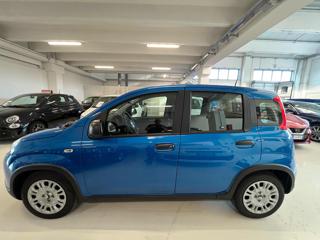 FIAT Panda usata, con Antifurto