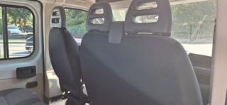 FIAT Ducato usata, con Servosterzo