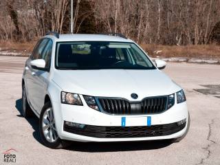 SKODA Octavia usata, con Fendinebbia