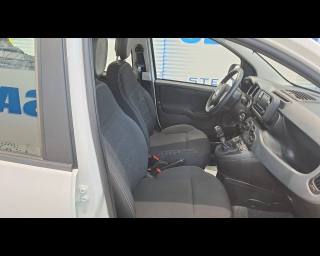 FIAT New Panda usata 18