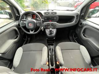 FIAT Panda usata, con Volante multifunzione