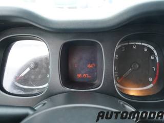 FIAT Panda usata 13