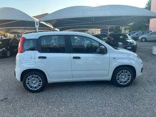 FIAT Panda usata, con Climatizzatore
