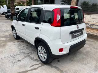 FIAT Panda usata, con Alzacristalli elettrici
