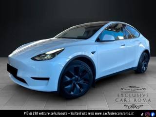 TESLA Model Y RWD