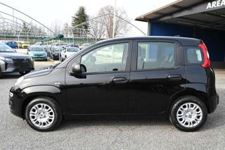 FIAT Panda usata, con Climatizzatore