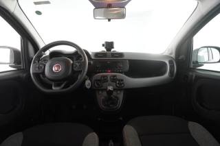 FIAT Panda usata 9