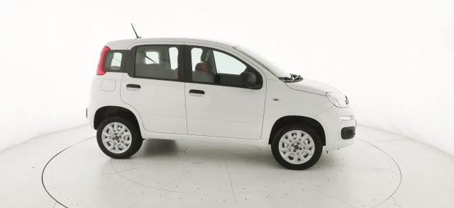 FIAT Panda usata 21