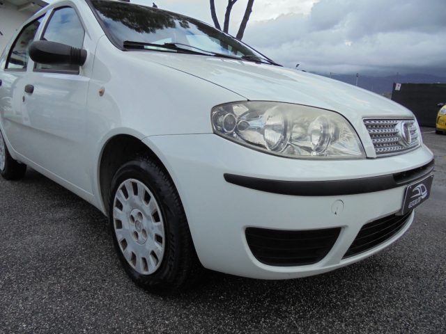 FIAT Punto usata 10