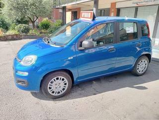 FIAT Panda usata, con Controllo trazione