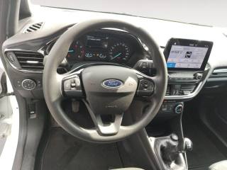 FORD Fiesta usata, con Specchietti laterali elettrici