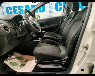 FIAT Punto usata 14