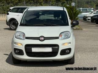 FIAT Panda usata 2