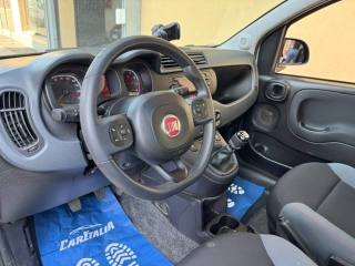 FIAT Panda usata 10