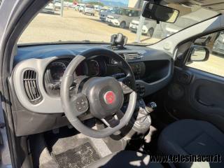 FIAT Panda Cross usata, con Specchietti laterali elettrici