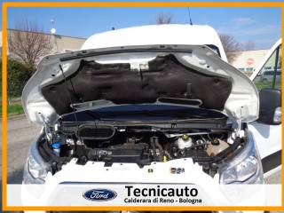 FORD Transit usata 19