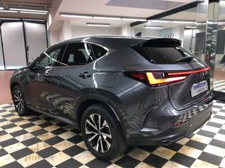LEXUS NX 450h usata, con Airbag Passeggero