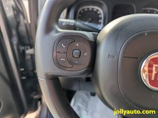 FIAT Panda usata 24