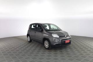 FIAT Panda usata 1