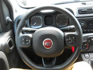 FIAT Panda usata, con Controllo trazione