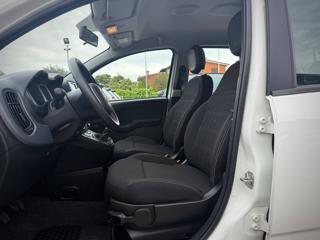 FIAT Panda usata 24