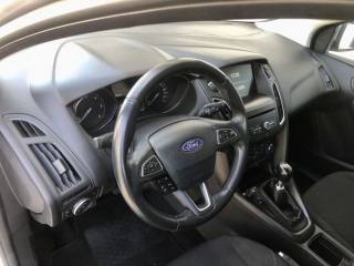 FORD Focus usata, con Cruise Control