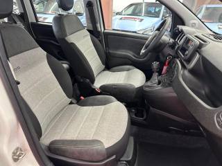 FIAT Panda usata, con Fendinebbia