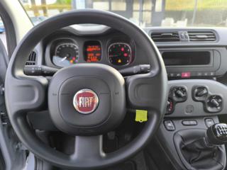 FIAT Panda usata, con Airbag testa